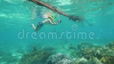 浮潜少女正在手机上拍摄海洋生物的照片，水下拍摄。